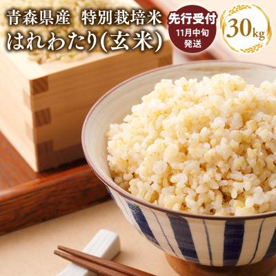 ふるさと納税 平川市 【令和7年産 先行受付   配送時期:2025年11月中旬〜】特別栽培米はれわたり玄米30kg