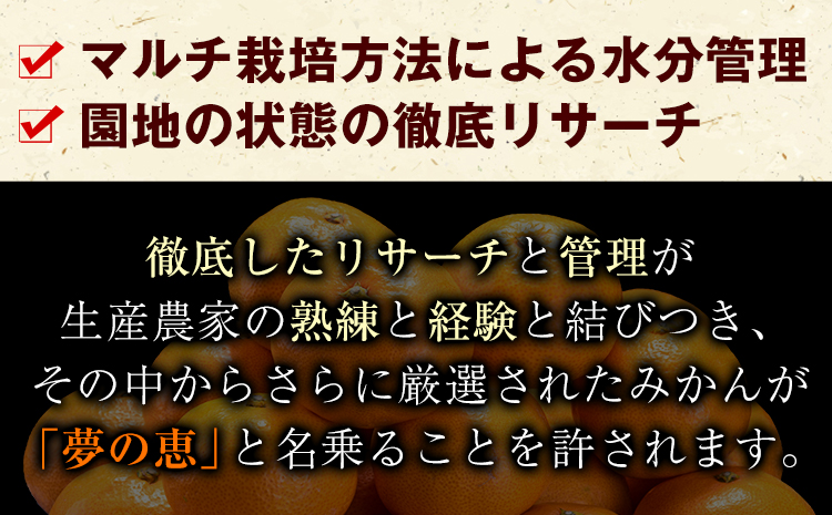 夢の恵 みかん 約2.5kg(20玉〜30玉前後) 熊本県産 （長洲町産含む） 糖度12度以上 ブランドみかん ブランド 贈答用 贈り物《1月中旬-2月中旬頃より出荷予定》 熊本県 長洲町