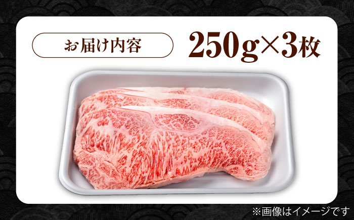 佐賀県産 黒毛和牛 贅沢サーロインステーキ 250g×3枚（計750g）/サーロインステーキ　黒毛和牛ステーキ　上質ステーキ 佐賀県産ステーキ 和牛ステーキ 佐賀県産和牛 上質サーロイン【株式会社いろ