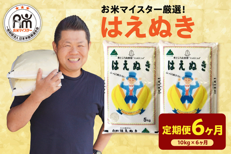 【 先行予約】6ヶ月 定期便 令和8年産 はえぬき 5kg×6回 計30kg