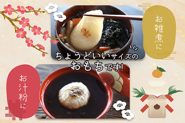 梅木もち屋 庄内産『でわのもち』を使用した杵つき餅 380g×1袋 柔らかくよく伸びる 丸もち お雑煮 正月 丸餅 おもち 個包装 通常配送(3～6週間) 380g×1袋