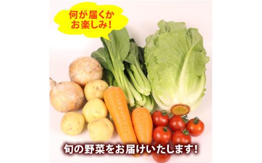 野菜 セット 6~7品目 以上 お野菜 季節 野菜 旬 新鮮 産地直送 詰め合わせ やさい おいしい 自然 セット 美味しい たっぷり 丸新柴本製茶 静岡県 牧之原市