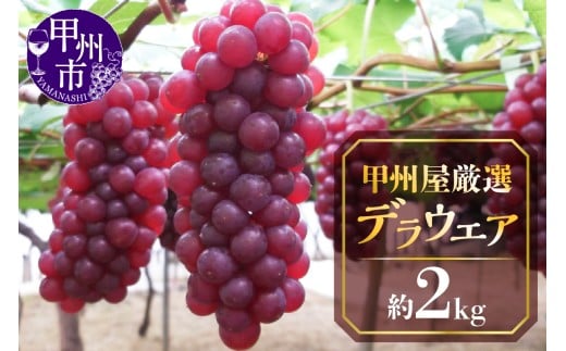 甲州屋厳選 勝沼産デラウエア葡萄 約2kg【2026年発送】C-193 【デラウエア ぶどう 葡萄 ブドウ 令和8年発送 期間限定 山梨県産 甲州市 フルーツ 果物】