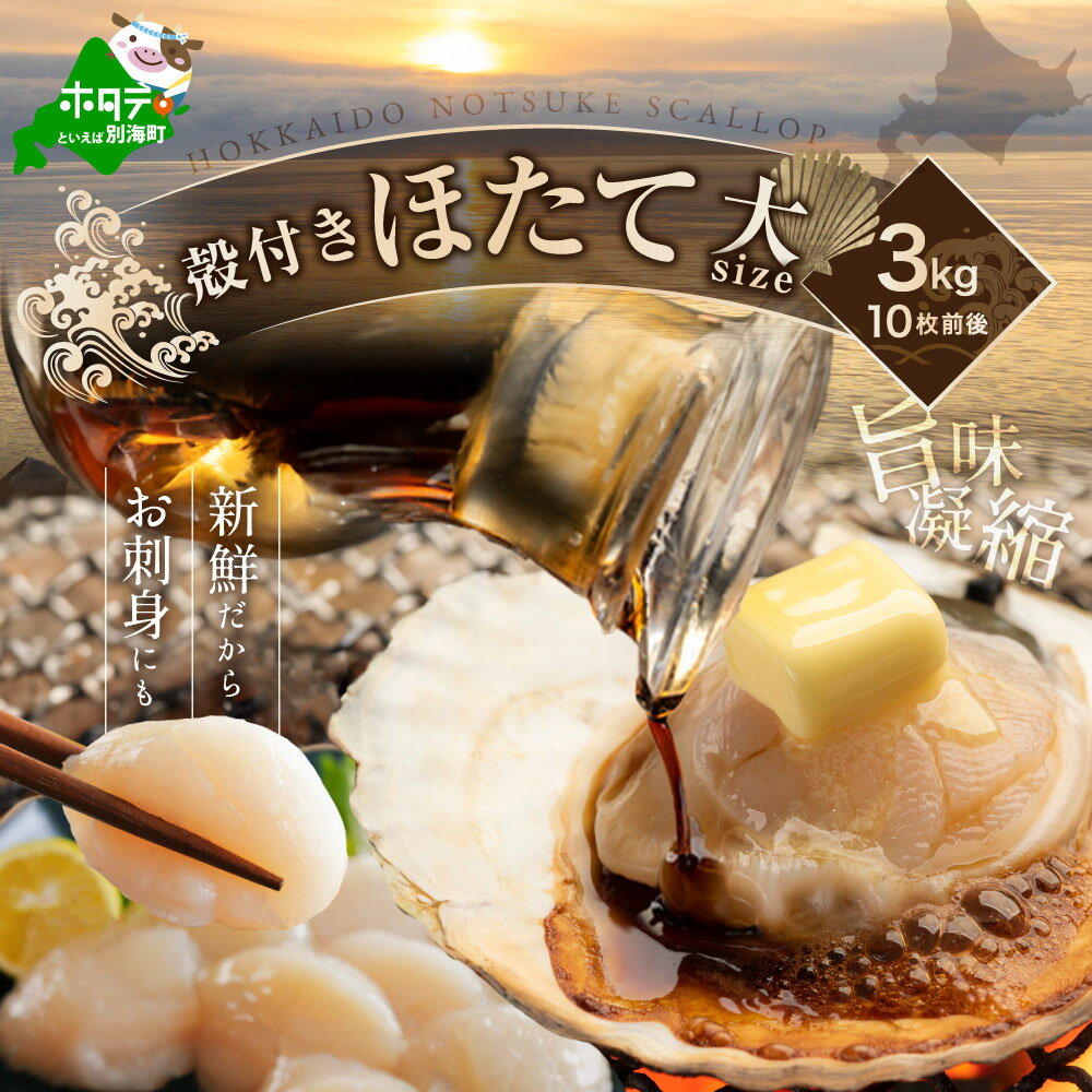 【ふるさと納税】【先行予約】北海道野付産活ホタテ 3Kg（10枚前後）【KO0000001】（ふるさと納税 ほたて ホタテ 帆立 貝柱 春 旬 ）
