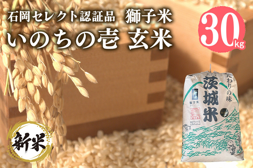 
            【令和6年産】【石岡セレクト認証品】獅子米 いのちの壱 玄米 30kg コンテスト受賞米 お米 米 おこめ ブランド米 30キロ 国産 単一原料米 コメ こめ ご飯 銘柄米 茨城県産 茨城 産直 産地直送 農家直送 ごはん 家庭用 贈答用 お取り寄せ 茨城県 石岡市 (G437)
          