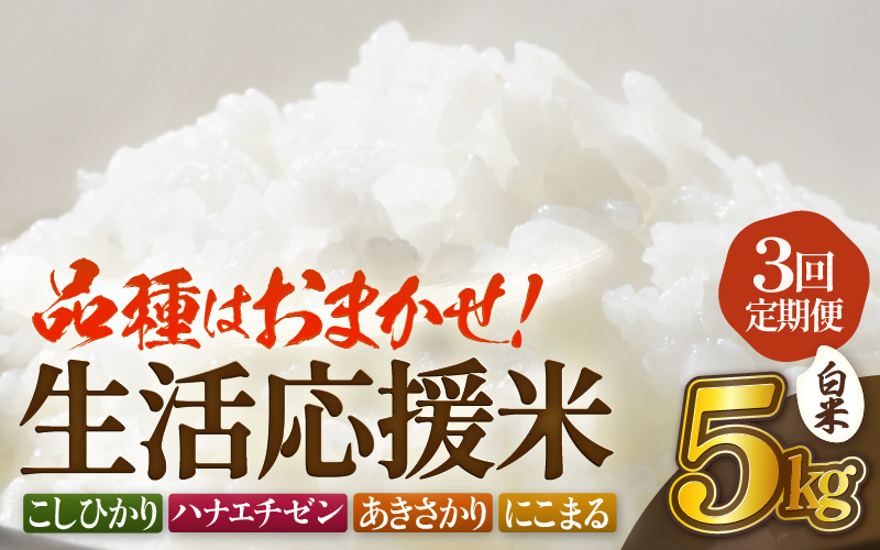 【先行予約】定期便 ≪3ヶ月連続お届け≫  令和8年産 生活応援米5kg × 3回（合計15kg）福井県越前町産【白米】【2026年10月中旬以降順次発送】【お米 コメ kome 5キロ  白米 玄米