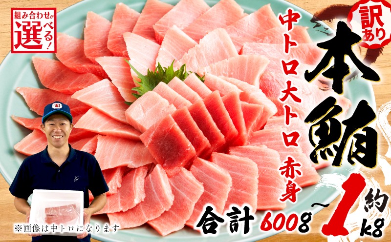 【組み合わせが選べる】 訳あり 本まぐろ 中とろ 大とろ 赤身 セット 約 600g～1kg 不定型柵 鮪 まぐろ 中トロ 大トロ 冷凍 鮪 漬け マグロ ユッケ 海鮮 本マグロ 本まぐろ 人気 まぐろ おいしい まぐろ 静岡 藤枝