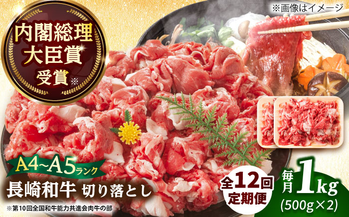 
            【全12回定期便】【A4～A5】長崎和牛切り落とし　1kg(500g×2p）【株式会社 MEAT PLUS】 [DBS056]長崎和牛 和牛 国産 牛肉  長崎和牛切り落とし 1kg 500g 2パック12回定期便 定期便 12回
          