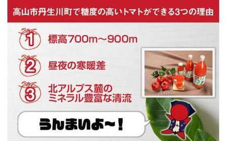 マルオリ トマトジュース 500ml 12本入 食塩無添加 無塩 無添加 完熟トマト ストレート 100% 果汁 野菜ジュース 高糖度 リコピン ドリンク 500ミリリットル 野菜 飲み物 飛騨高山 