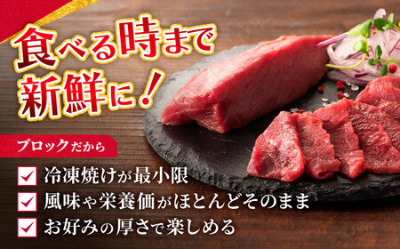 【フジチク】国産 馬刺し 赤身 約100g×6個（計約600g）タレ付き 馬 馬肉 肉 熊本県 【亀井通産 株式会社】[AYBQ047]