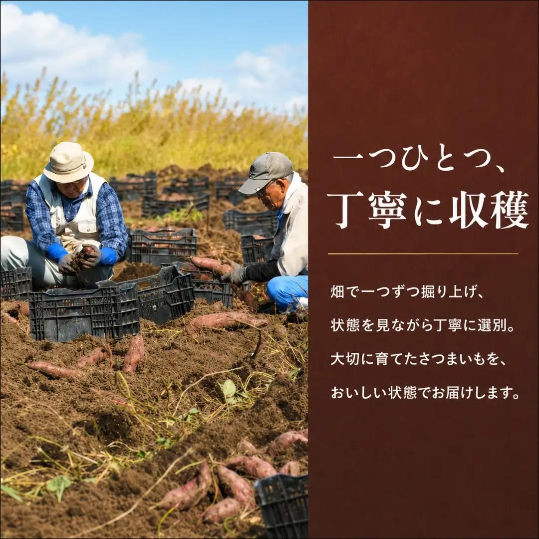 焼き芋 冷やし焼き芋 紅はるか 4袋 ひんやり ねっとり甘い 農園ビギン