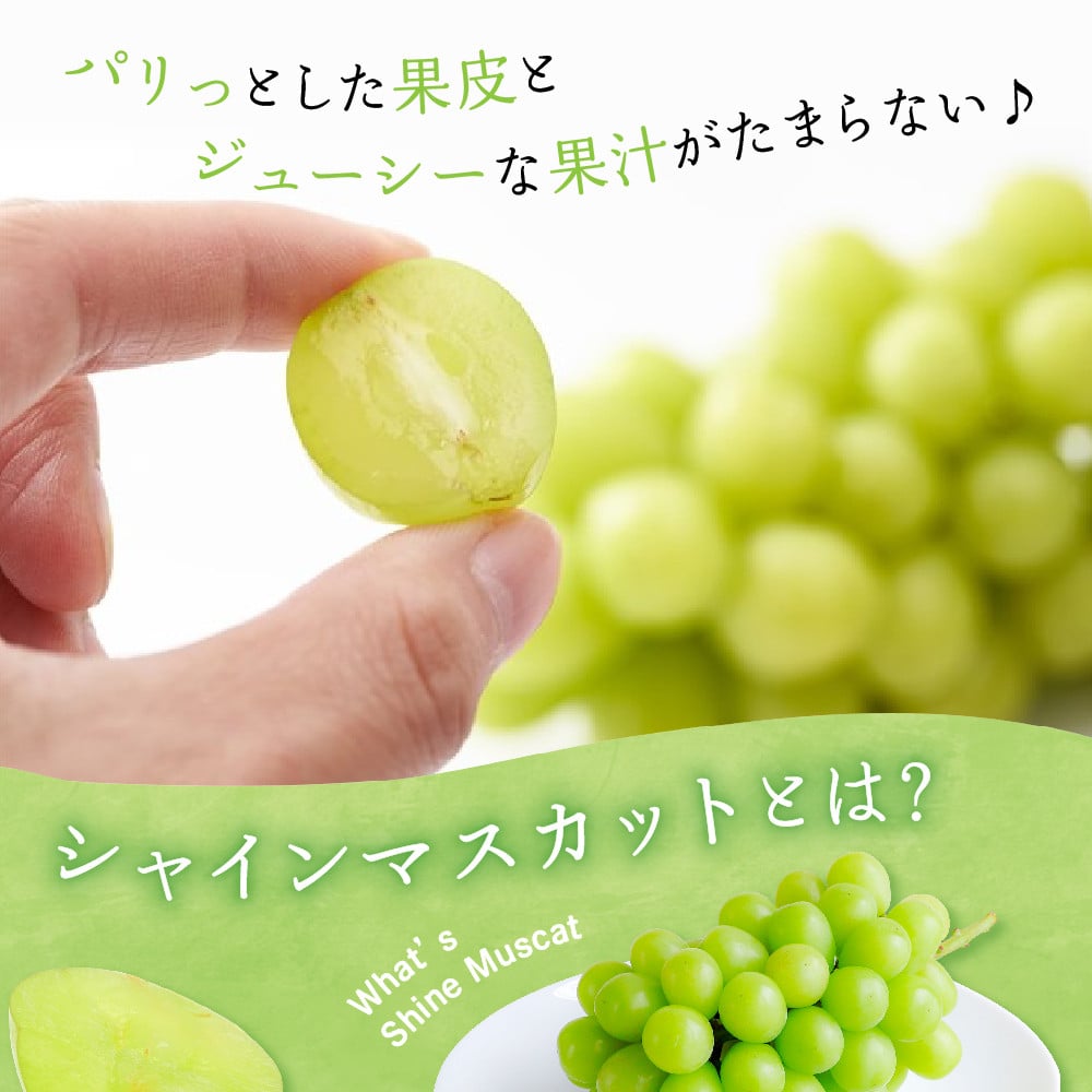 写真はイメージです