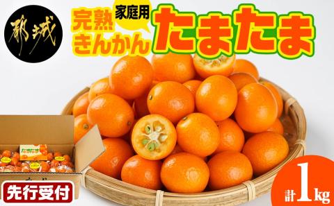 《先行受付!》 【家庭用】宮崎ブランド完熟きんかん「たまたま」1kg_LG-0101