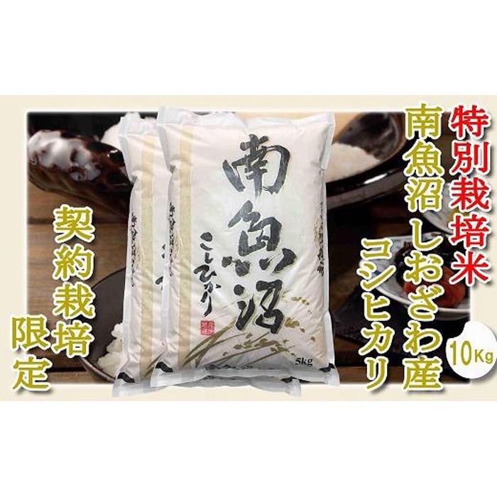 【ふるさと納税】【令和7年産】【精米10Kg】特別栽培 生産者限定 南魚沼しおざわ産コシヒカリ | お米 こめ 白米 コシヒカリ 食品 人気 おすすめ 送料無料 魚沼 南魚沼 南魚沼市 新潟県産 新潟県