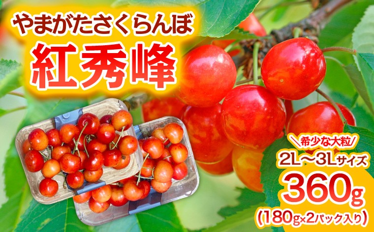 
                  やまがた さくらんぼ 紅秀峰 "希少な大粒" 2L～3Lサイズ 360g(180g×2パック入り) 1箱【令和9年産先行予約】FS25-574 くだもの 果物 フルーツ 山形 山形県 山形市 2026年産
                
