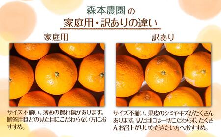 家庭用 森本農園の手選別 清見オレンジ 5kg +200g傷み補償付 和歌山県産 サイズ混合 【北海道・沖縄・離島配送不可】【RN22】