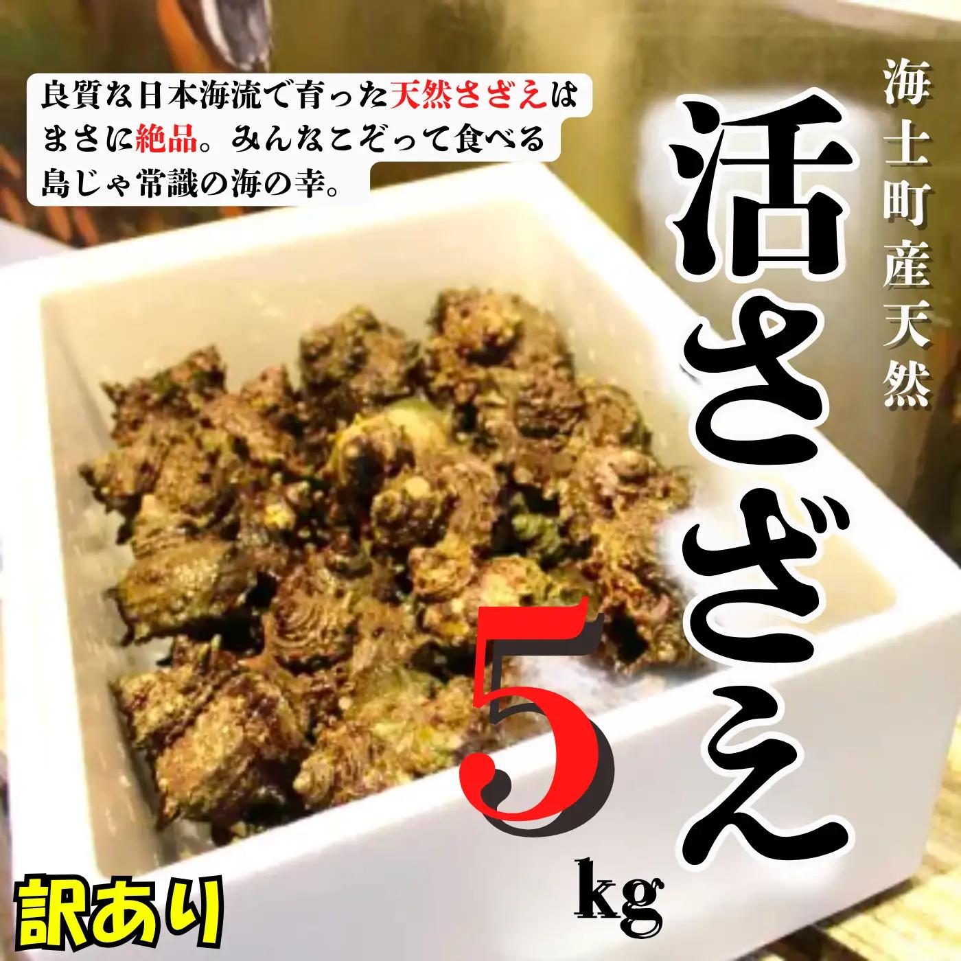 訳あり 海士町産 天然活サザエ 5kg 50個前後 サザエ