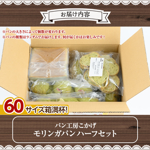 【P65001】大隅産モリンガパンハーフセット(計7個・7種各1個) もりんが ミラクルツリー スーパーフード パン 総菜パン ラスク 冷凍 詰め合わせ 朝食 手作り 美味しい【パン工房こかげ】