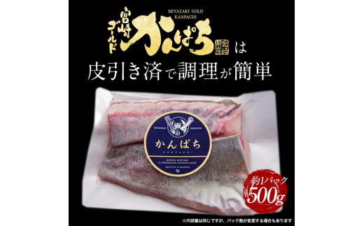 宮崎産 新海屋 鰤屋金太郎 宮崎ゴールドカンパチ 500g　冷凍　N018-ZA463_2