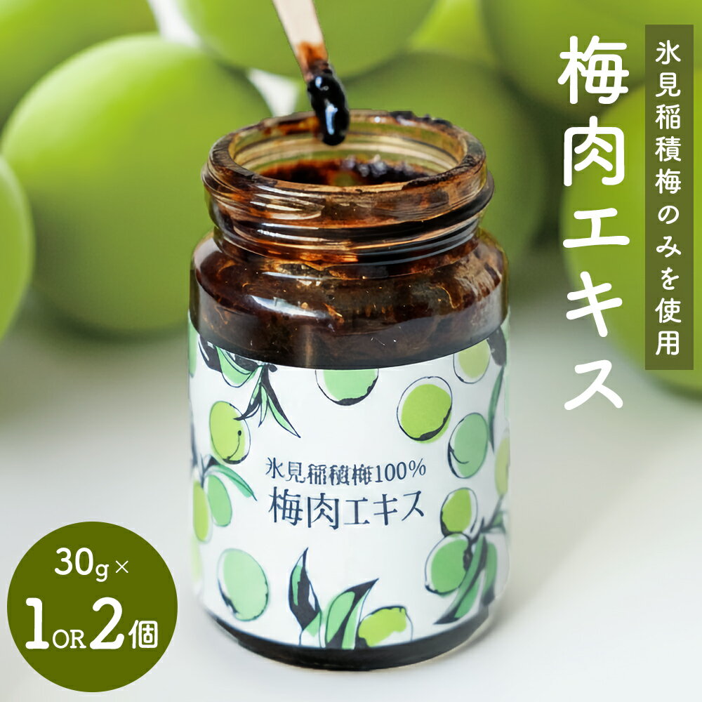 【ふるさと納税】梅肉エキス 氷見稲積梅100% 選べる 1個または2個 富山県 氷見市 国産 うめ 青梅 クエン酸