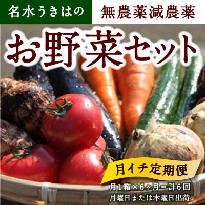 ふるさと納税 うきは市 【月イチ定期便】UIC 名水うきはの無農薬減農薬お野菜セット (ひと月1箱×半年間=計6回)