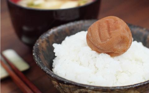 完熟南高梅 白梅干し 2.5kg (1.25kg×2パック) 塩分約20％ 完全無添加 サイズ混合 ご家庭用【2025年9月より発送予定】【njb647】