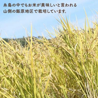 ふるさと納税 糸島市 【 全12回 定期便 】 自然栽培 ヒノヒカリ 10kg 糸島市/大石ファーム [ATE022] |  | 02