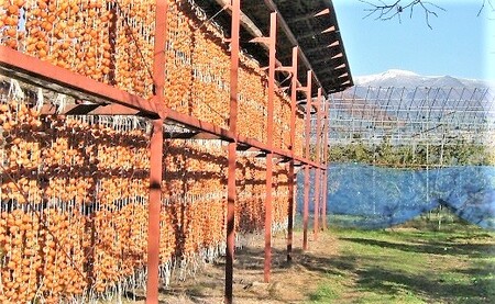 干し柿（紅つるし）３２個　２Ｌサイズ　0040-2405