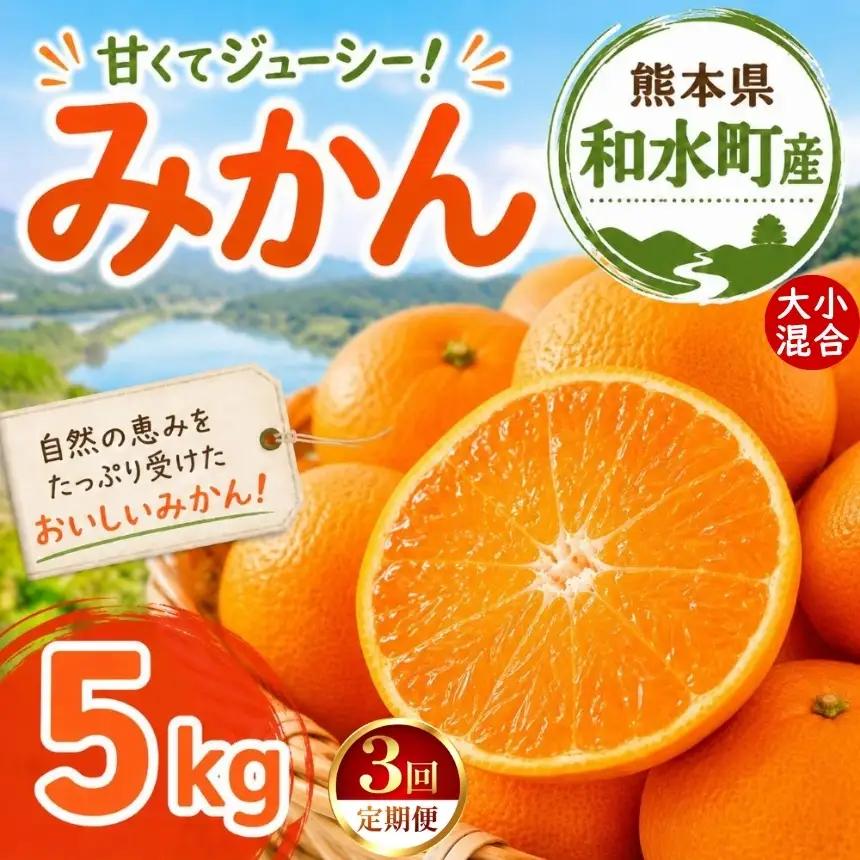 【定期便3回】 熊本県 和水町産 大小混合 みかん 5kg ミカン フルーツ 定期便
