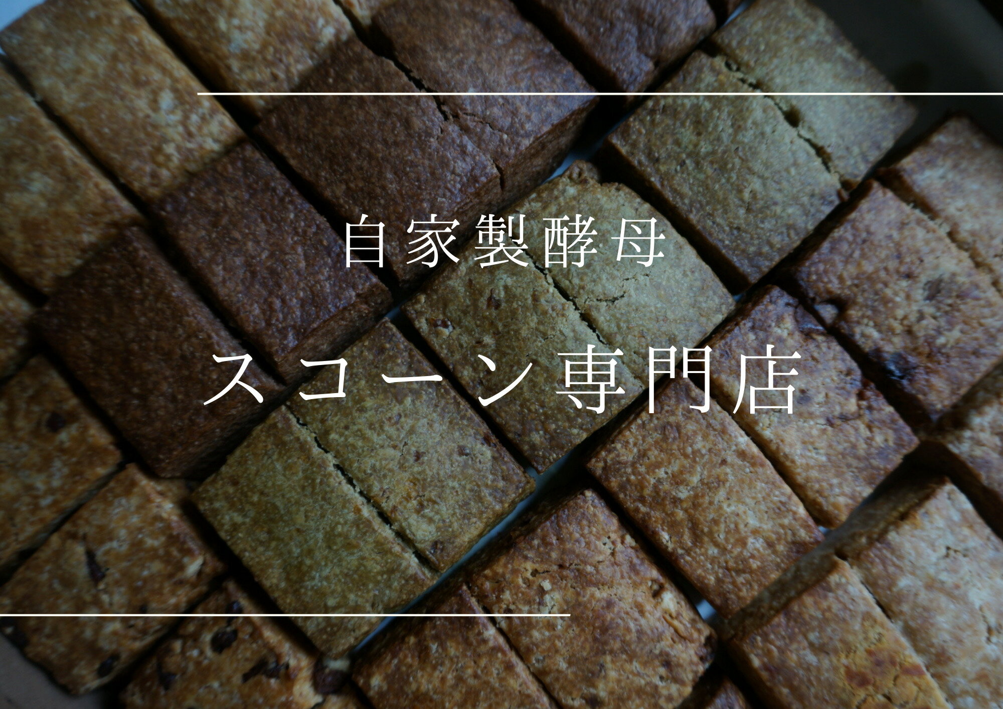 【ふるさと納税】プラリネバターサンドと自家製酵母スコーン【たねのおやつ】_HA1674