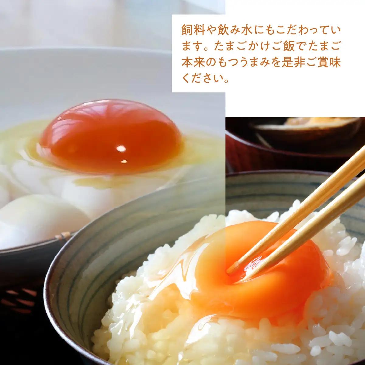 ≪飯能産≫放し飼いたまご 50個(夏季)　HNNBP004