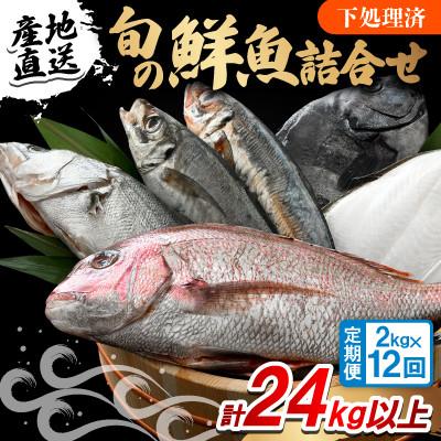 ふるさと納税 小浜市 【毎月定期便】「若狭小浜港産地直送」のお任せ天然鮮魚セット! 全12回