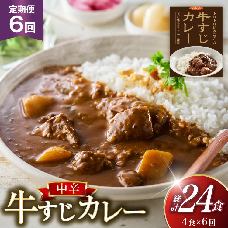 【ふるさと納税】カレー セット 牛 すじ カレー 4食 セット 中辛 6回 定期便 [カレー工房NVfoods 長崎県 平戸市 hr42bgy400037] カレー スパイス レトルト セット