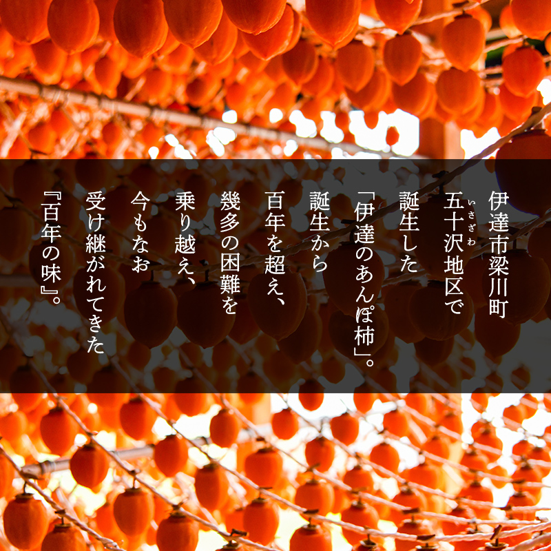 五十沢のあんぽ柿 230g×3パック あんぽがき かき ドライフルーツ フルーツ 果物 くだもの 福島県産 国産  柿 デザート 果実 食品 F20C-248