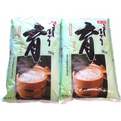 ふるさと納税 南砺市 【発送月固定定期便】富山県産こしひかり　育(はぐくみ) 白米5kg×2袋《南砺の逸品》全12回