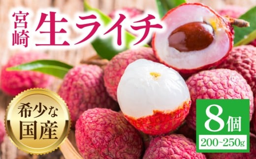 《2026年発送先行予約》【数量・期間限定】宮崎生ライチ_M342-002