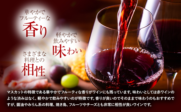 酒 日本ワイン 720ml 1本 矢掛放送 岡山県矢掛町《30日以内に出荷予定(土日祝除く)》 酒 ワイン 国産 ヒロハンブルグ 赤ワイン 国産 ブドウ---osy_cyhwine_30d_25_37