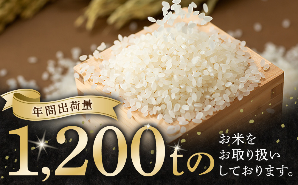【特Aランク】 令和7年北海道産 ゆめぴりか5kg 【 白米 精米 ご飯 ごはん 米 5kg  お米 旭川市ふるさと納税 北海道ふるさと納税 】_04805