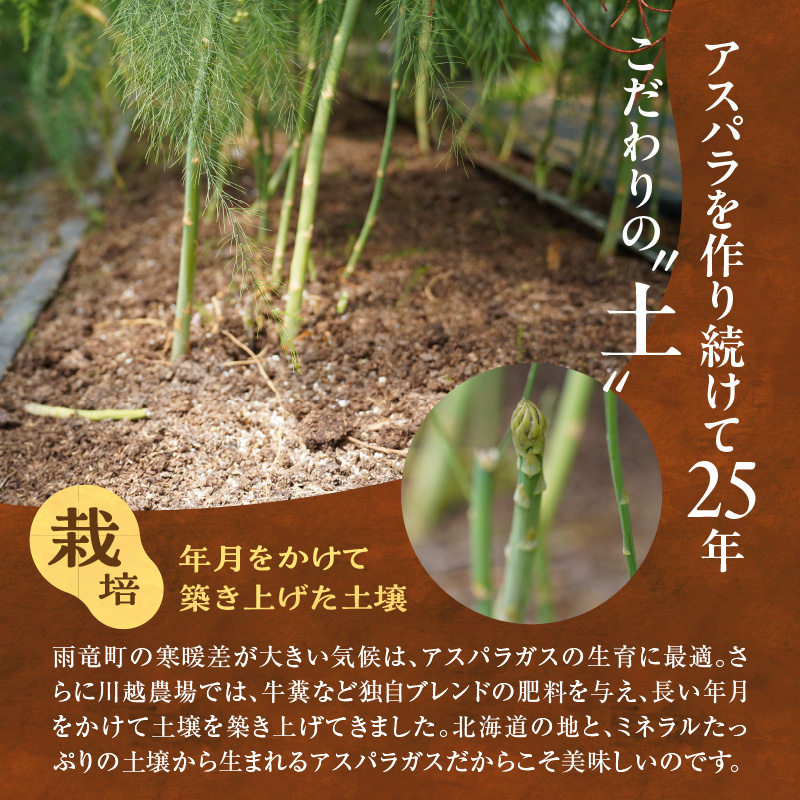 【先行受付】令和8年産 朝採りグリーンアスパラ  500g＜ 川越農場 ＞野菜 春 夏 北海道アスパラ 雨竜町産 パスタ サラダ スープ 旬 やわ旨