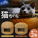 【ふるさと納税】 猫 ちぐら ダンボール製 マット付き 選べる 天面 形状 バーチカルルーフ ホリゾンタルルーフ 日本製 安心安全 機能性抜群 爪とぎ 屋根 取り外し可能 猫ちぐら 猫グッズ 猫ハウス 猫ベッド ペット ペット用品 猫の家 ねこちぐら 山梨 富士吉田