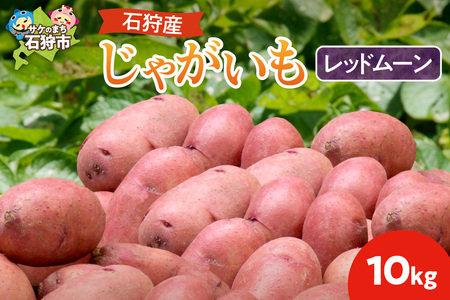 石狩産 じゃがいも(レッドムーン) 10kg【9月発送】
