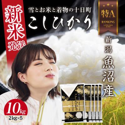 ふるさと納税 十日町市 令和7年産 魚沼産 コシヒカリ 2kg×5袋 計 10kg (お米の炊き方ガイド付き)