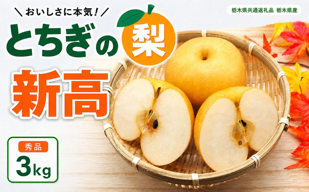 梨 新高 にいたか 秀品 3kg | 2026年9月～10月発送  栃木県共通返礼品 栃木県産 矢板市