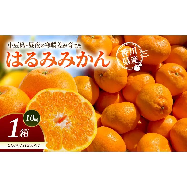 はるみみかん 柑橘 フルーツ 小豆島産 はるみみかん【10kg 1箱 2L/L】