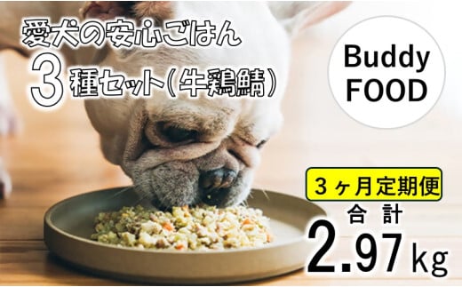 【3ヶ月定期便】完全国産・獣医師オススメの愛犬の安心ごはん【Buddy FOOD バディフード】 3種セットA（牛鶏鯖） CS-409
