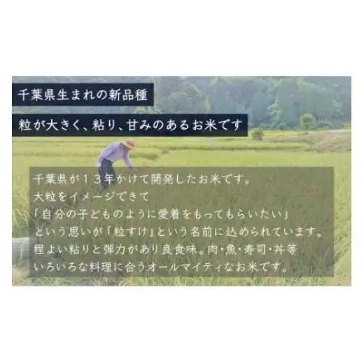 【最短2～7営業日出荷】令和7年産 千葉県産「粒すけ」10kg（5kg×2袋）/  粒すけ 令和7年産粒すけ 千葉県産粒すけ A006
