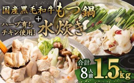 国産黒毛和牛もつ鍋 4人前 冷凍ちゃんぽん・濃縮スープ付＋ハーブ育ちチキン使用！水炊き4人前 合計8人前【3月発送】