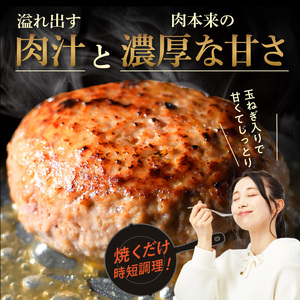 オアシス九州 熊本県産あか牛ハンバーグ150ｇ×10個 _U117-0049