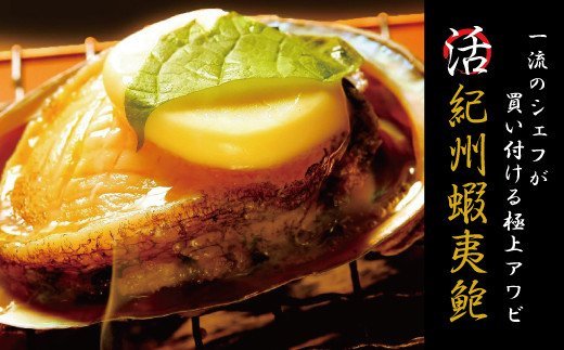 極上！やわコリ食感紀州の蝦夷アワビ 【3個入】  ※北海道・沖縄・離島への配送不可 / 鮑 アワビ あわび 人気 活アワビ 冷蔵【riz103】