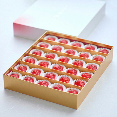 【ふるさと納税】とちおとめ 特別贈答用 まなこころ・煌(850g【30～36粒】) ｜ とちおとめ トチオトメ イチゴ 苺 いちご きらめき 新鮮 中粒 真心農園 果物 フルーツ 自然 甘い 美味しい ジューシー ビタミン おいしい おすすめ 贈り物 ギフト 埼玉県 東松山市